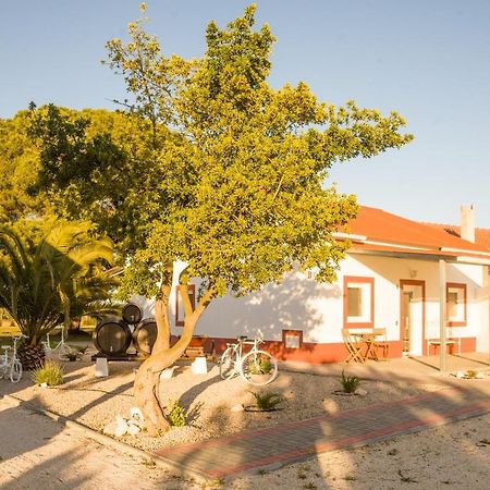 Casa Das Pipas #4 Pinhal Novo Extérieur photo